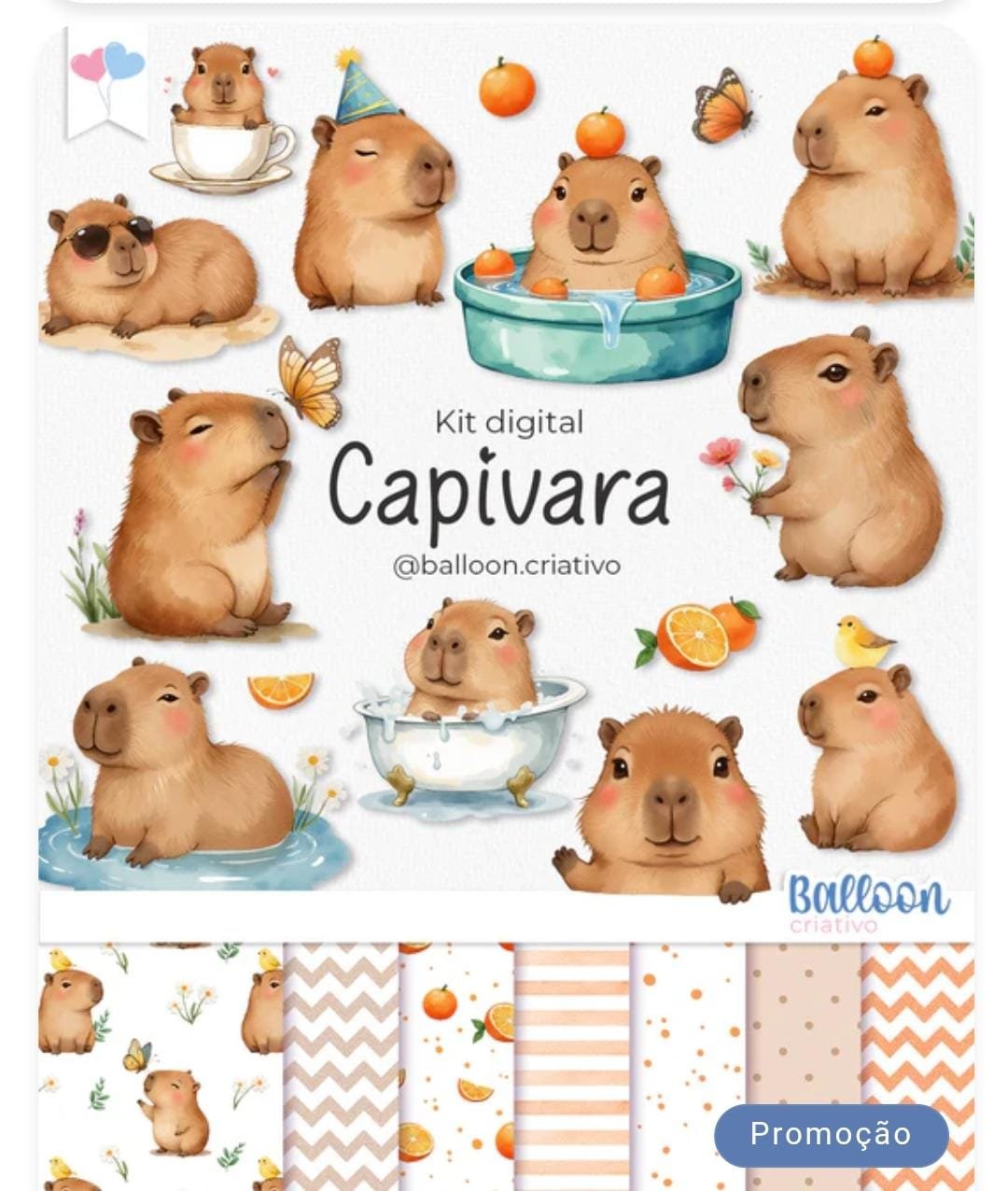 Kit Digital Capivara 2